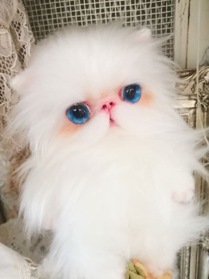 ぱっちりおめめ♡エキゾチック子猫ちゃん♡アートドール♡ぬいぐるみ♡