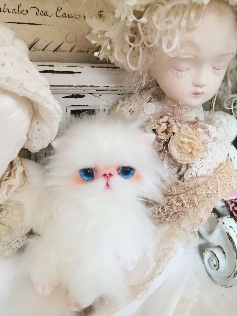 ぱっちりおめめ♡エキゾチック子猫ちゃん♡アートドール♡ぬいぐるみ♡