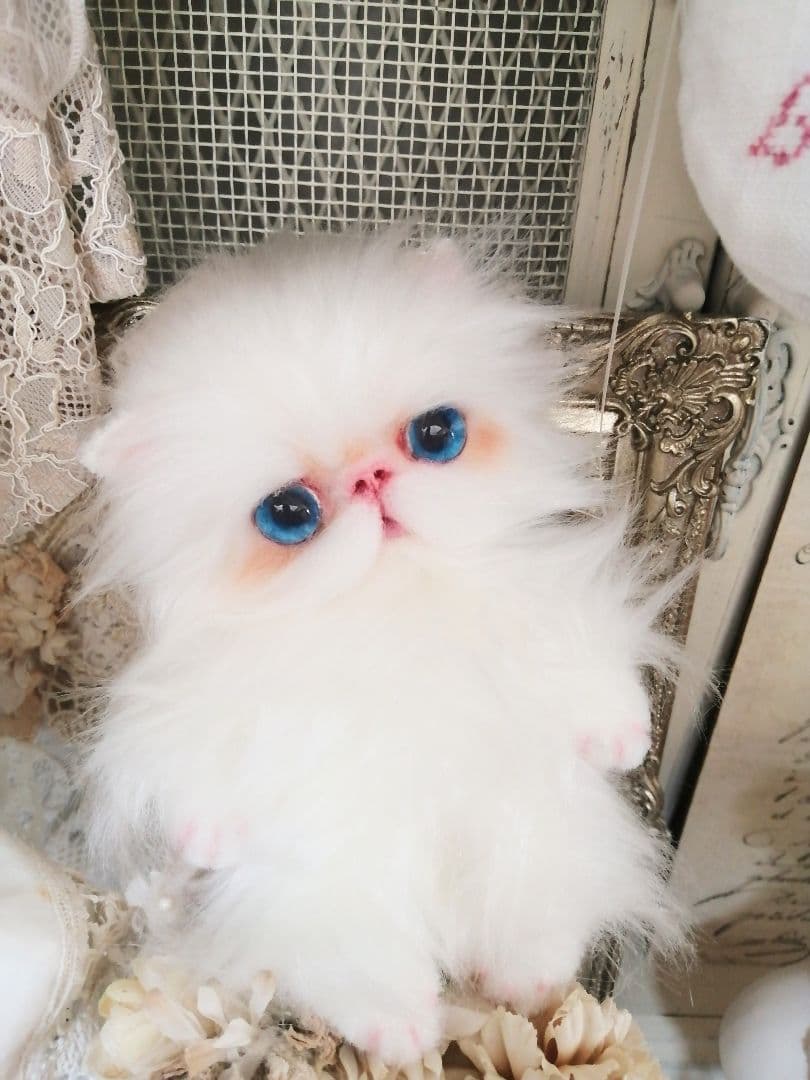 ぱっちりおめめ♡エキゾチック子猫ちゃん♡アートドール♡ぬいぐるみ♡