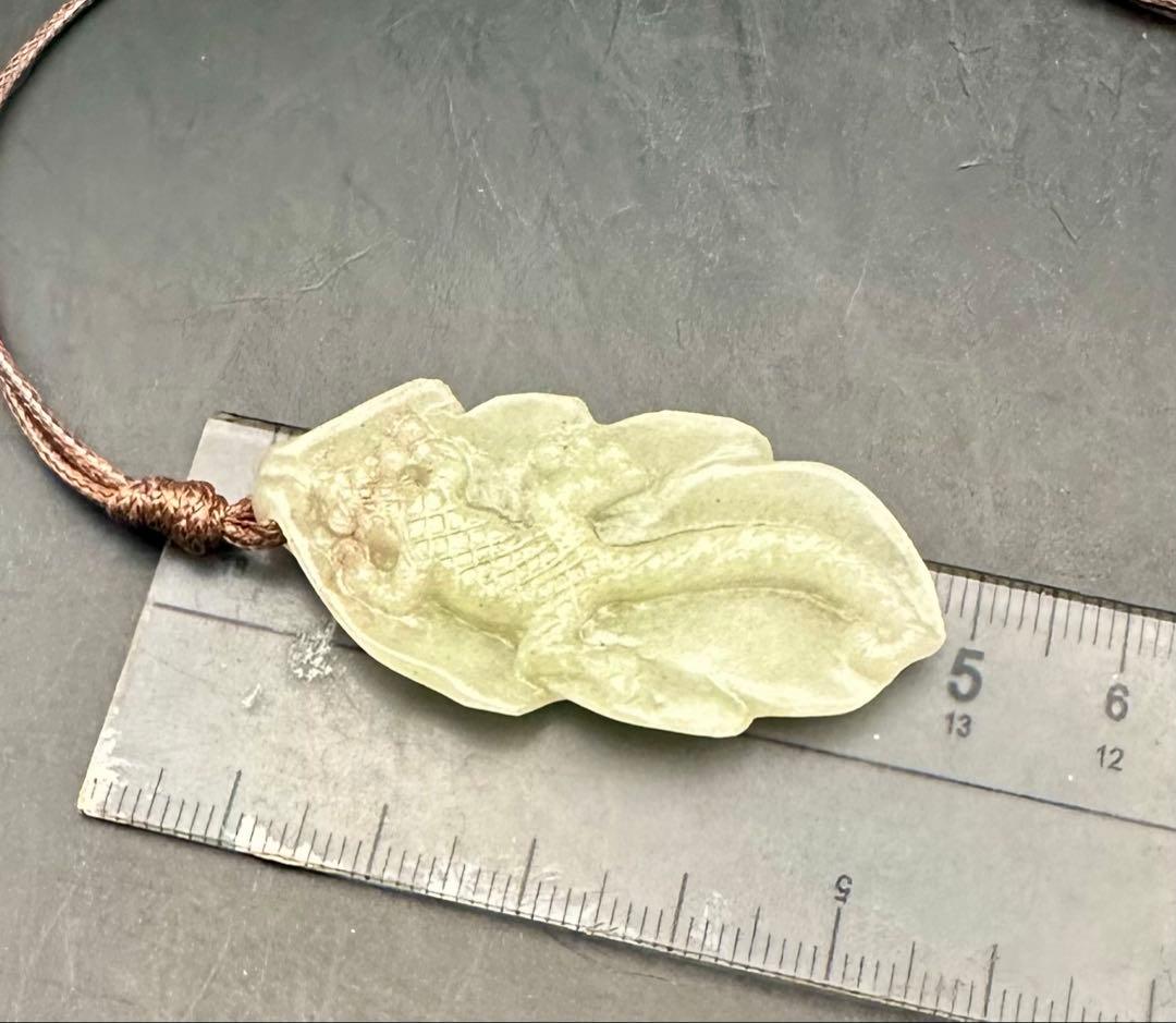 2025.7.25家守ヤモリ葉っぱ隠し　内モンゴル翡翠