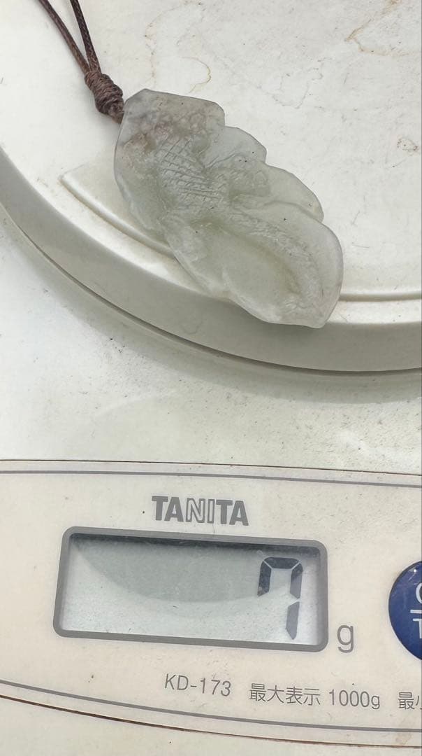 2025.7.25家守ヤモリ葉っぱ隠し　内モンゴル翡翠