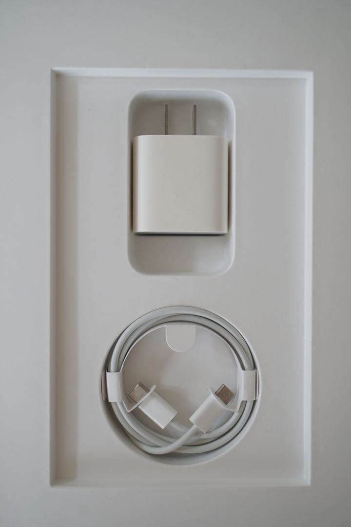 Apple iPad Pro 12.9インチ 第4世代 Wi-Fi 256GB