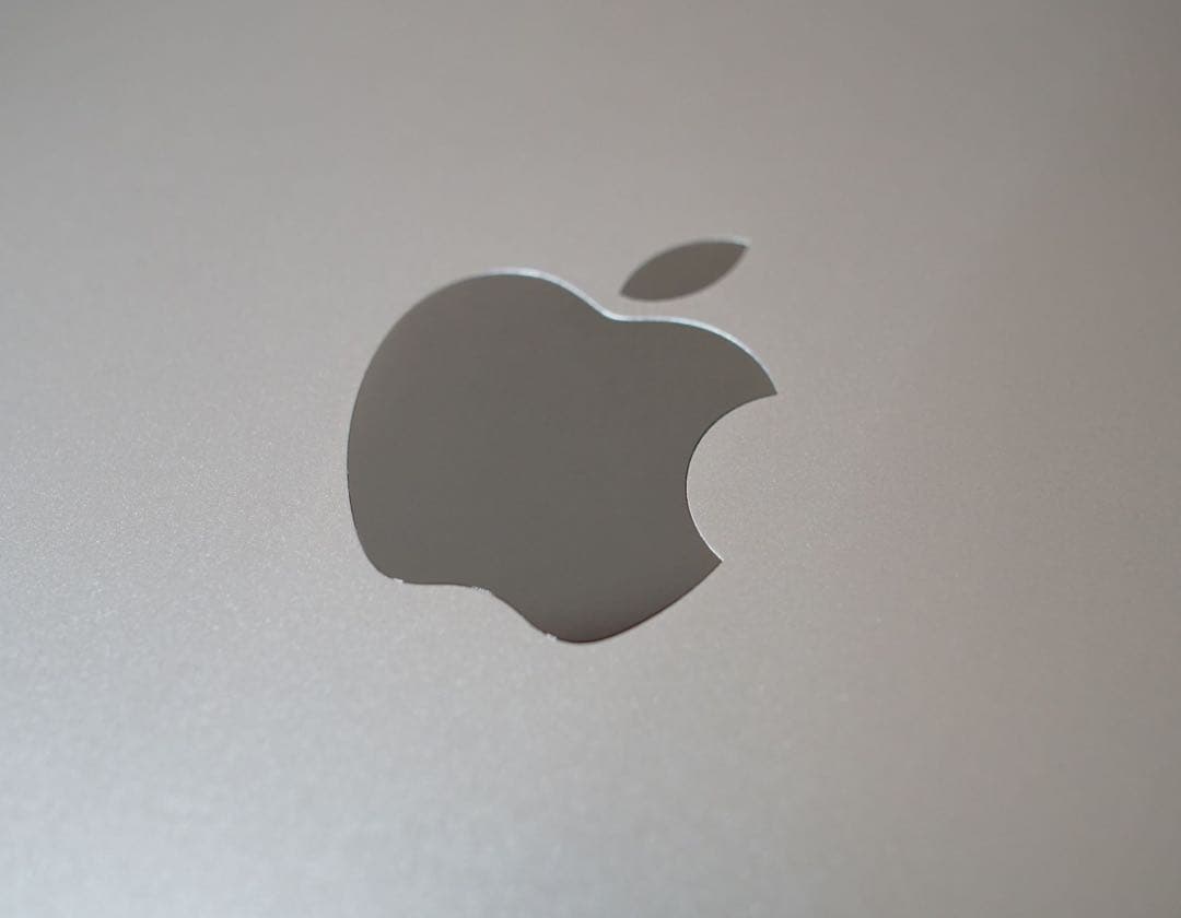 Apple iPad Pro 12.9インチ 第4世代 Wi-Fi 256GB