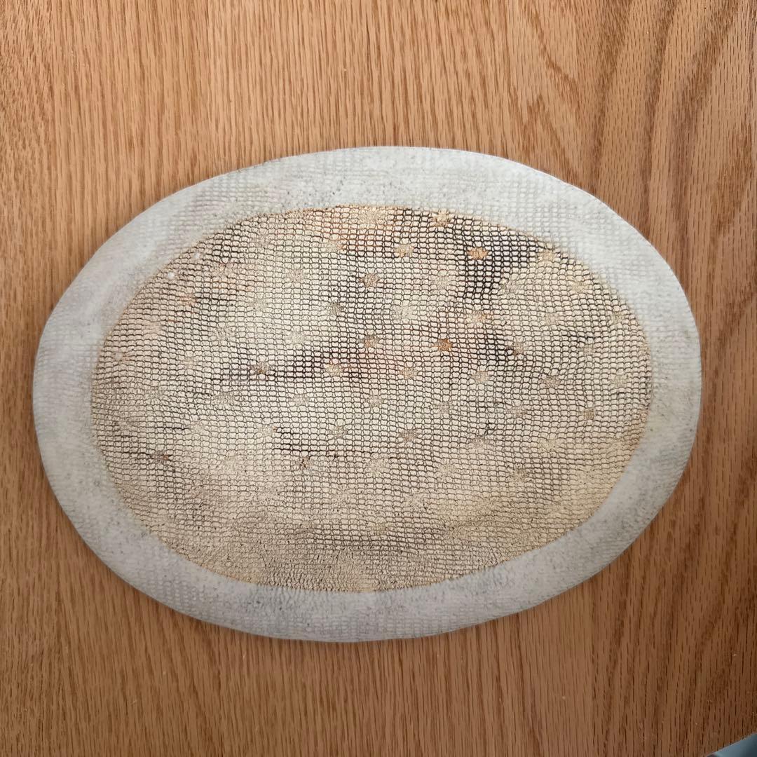 本田あつみ　益子焼き　ワイルドフラワーシリーズ　オーバル皿