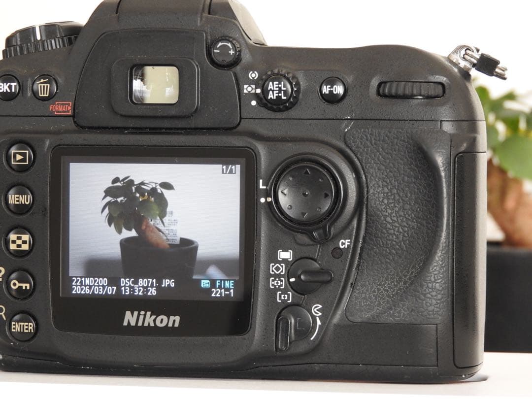 Nikon D200 NIKKOR 50mm f1.8 単焦点 オールドレンズ