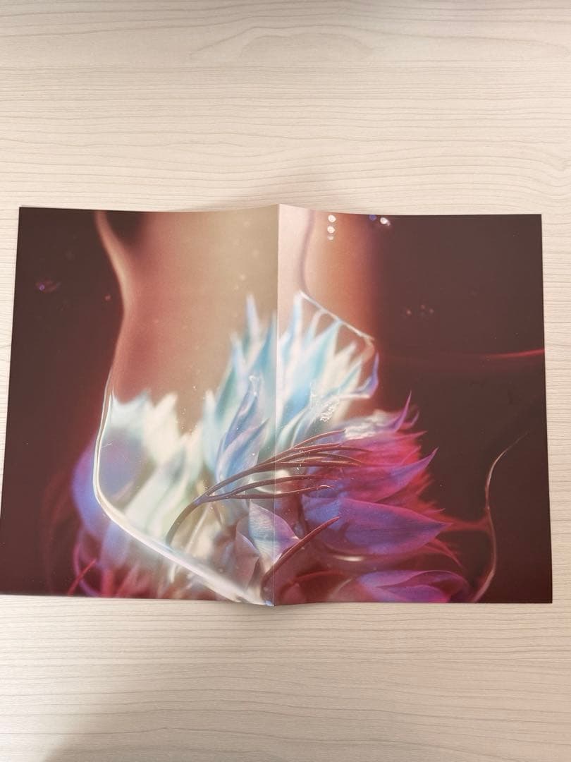 【4点】HANA 1thアルバム フォトブック CD&Blurayポスターケース