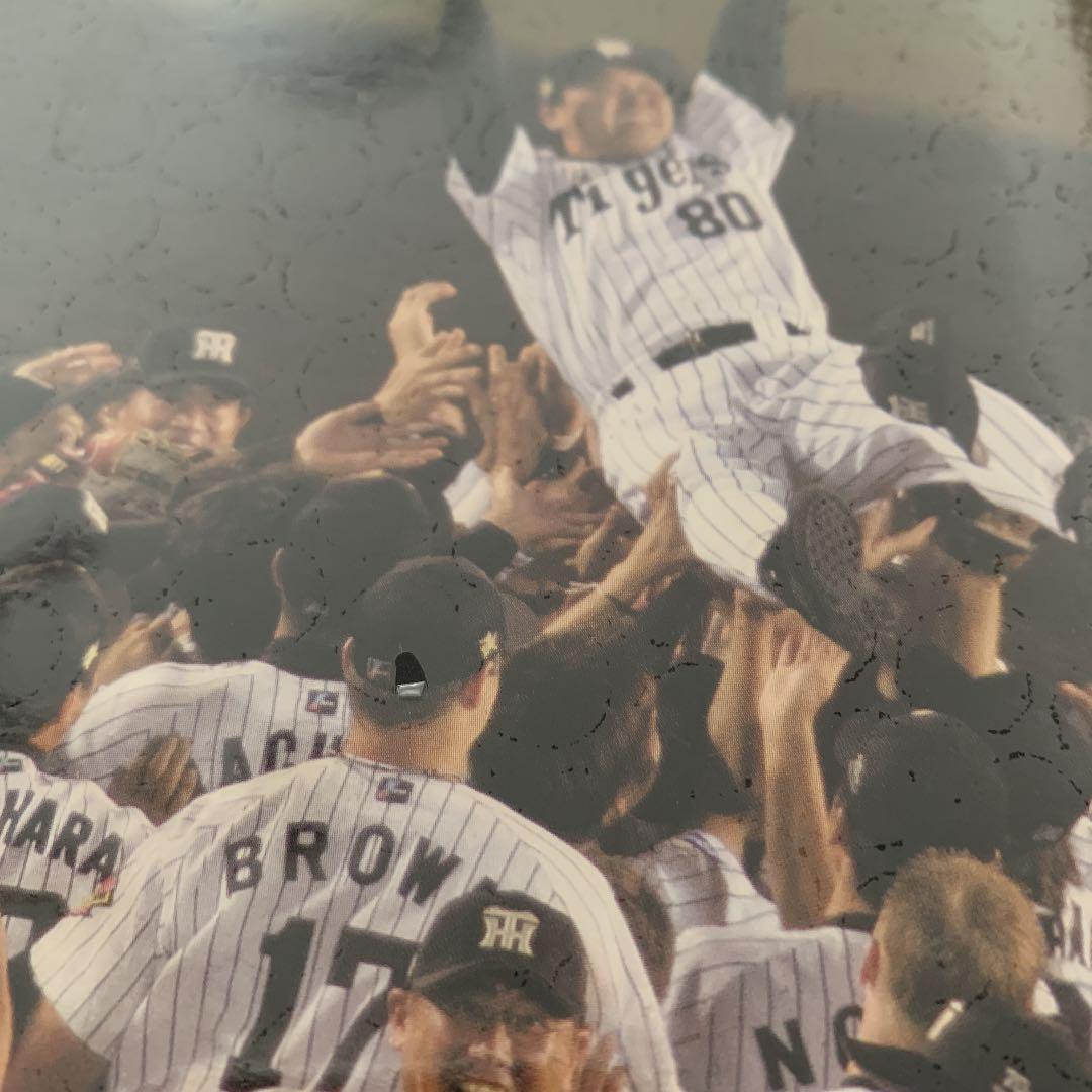 阪神タイガース　2005 優勝　メダルコレクション
