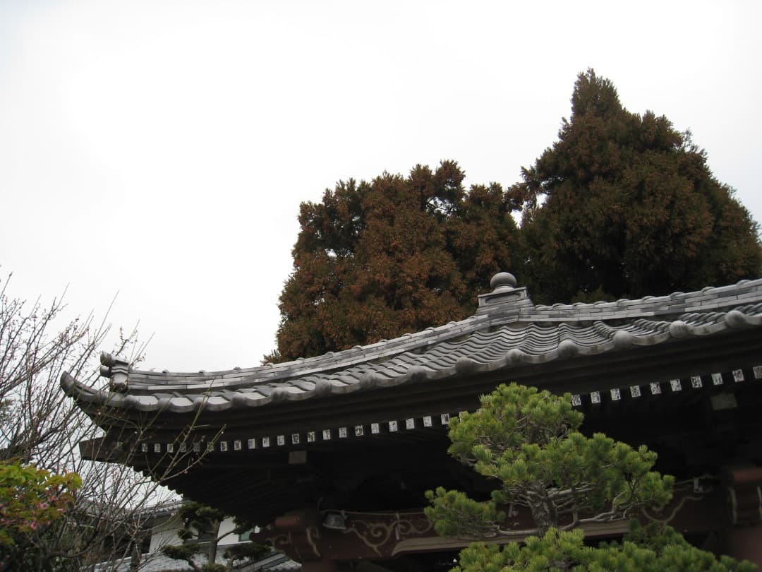 実写美⭕️【動作確認済】Canon IXY DIGITAL 910 IS