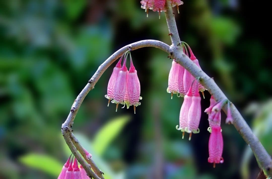 【値下げ】【良品】Carl Zeiss バリオゾナー F3.4/35-70mm