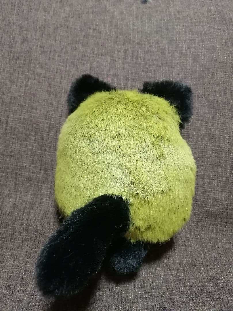 たまごさん確認用ニャースちゃん&サバンナちゃん