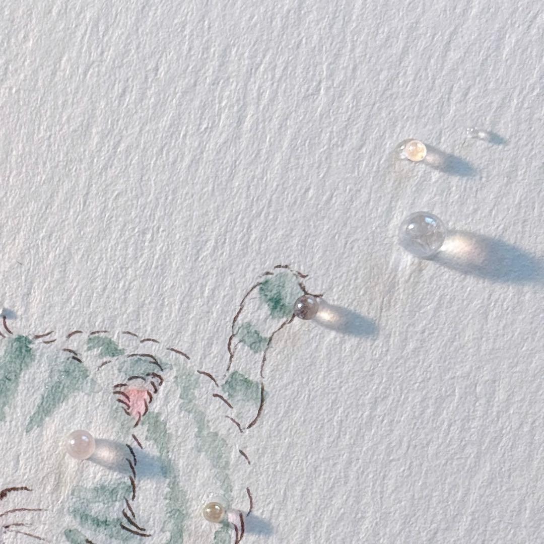 【Naoさま　専用】