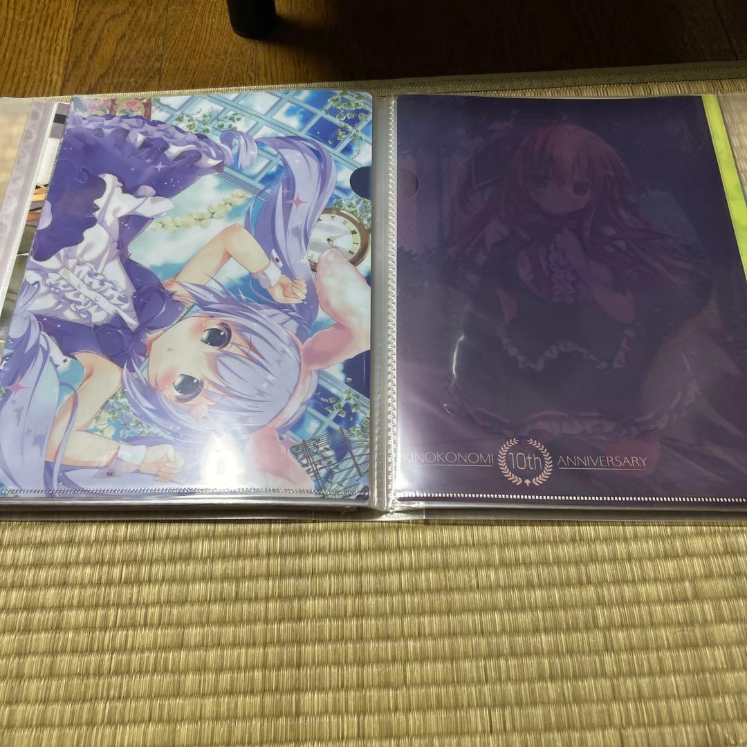 きのこのみ クリアファイル まとめ売り