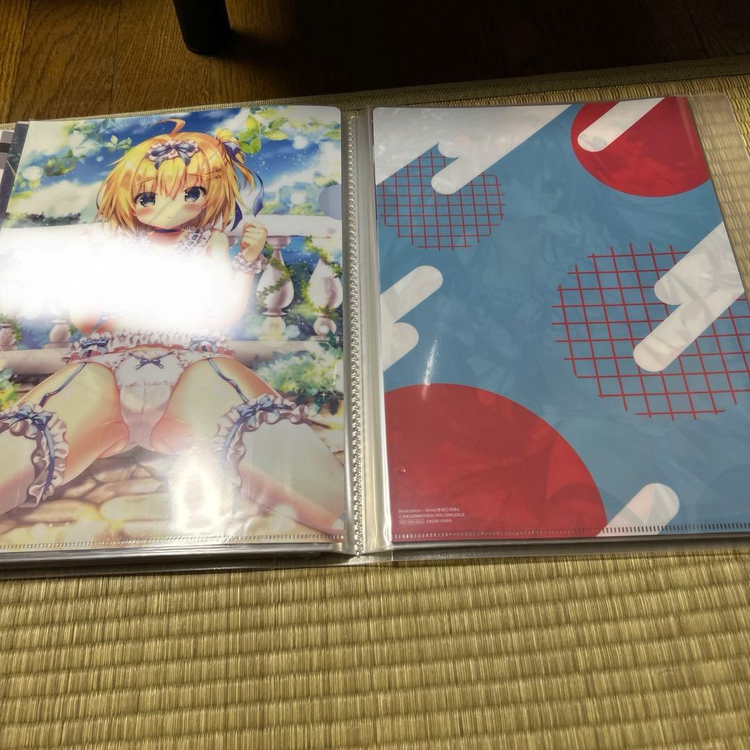 きのこのみ クリアファイル まとめ売り