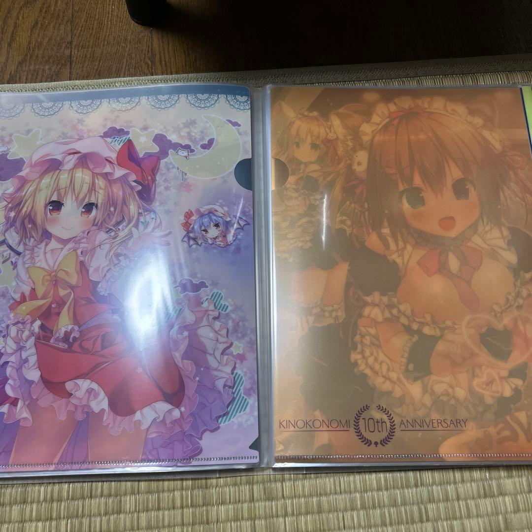 きのこのみ クリアファイル まとめ売り