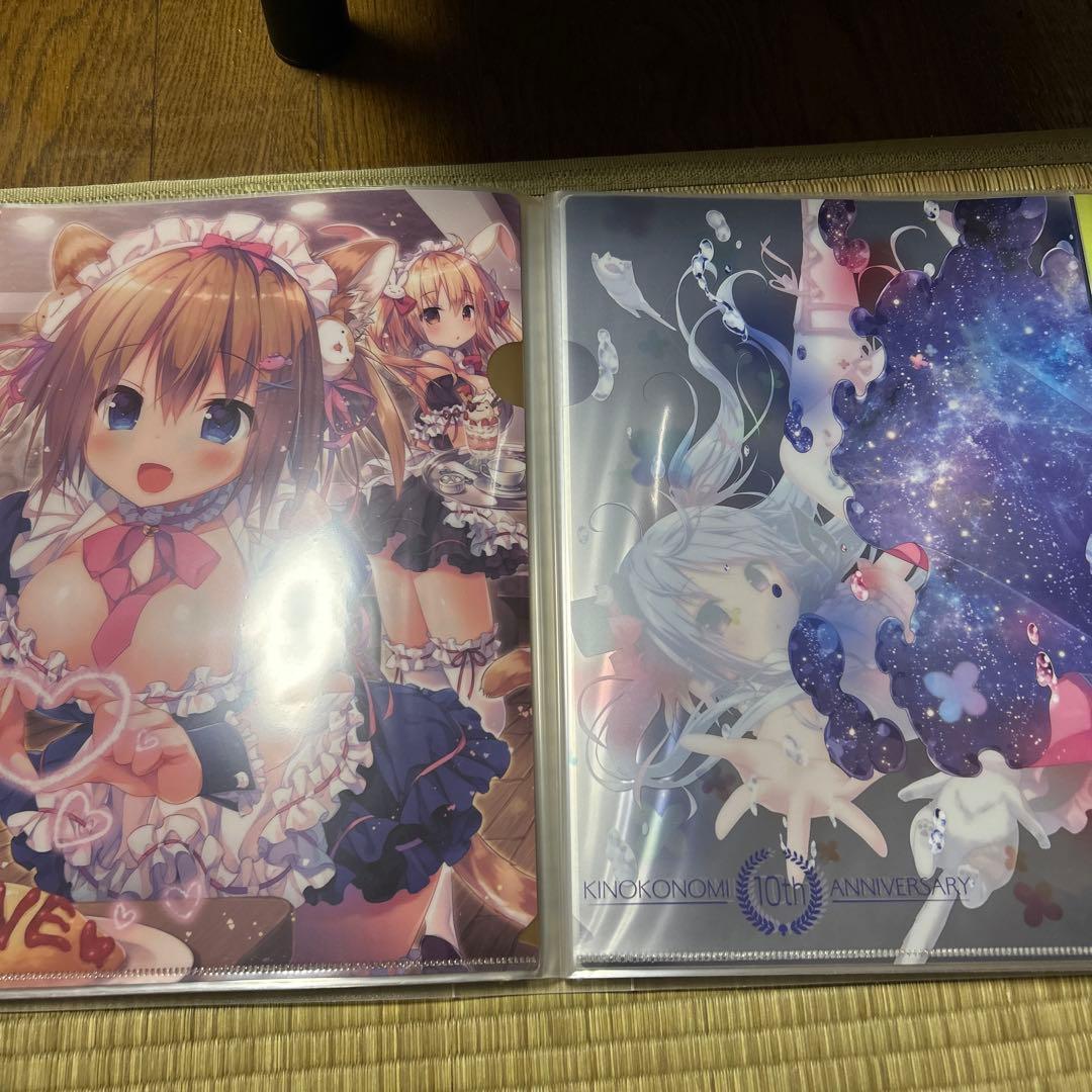 きのこのみ クリアファイル まとめ売り