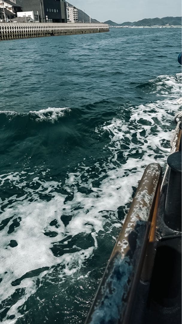 【セール中】Canon EOS 6D Mark II 本体　おまけ付き