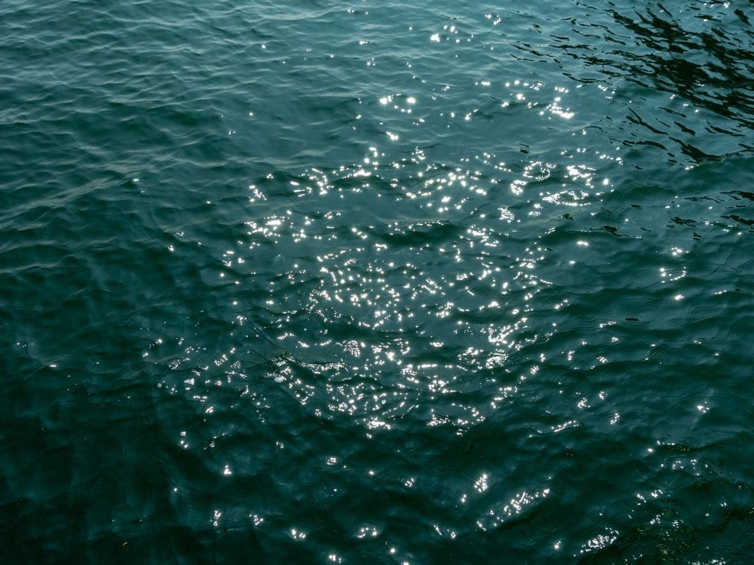 【セール中】Canon EOS 6D Mark II 本体　おまけ付き