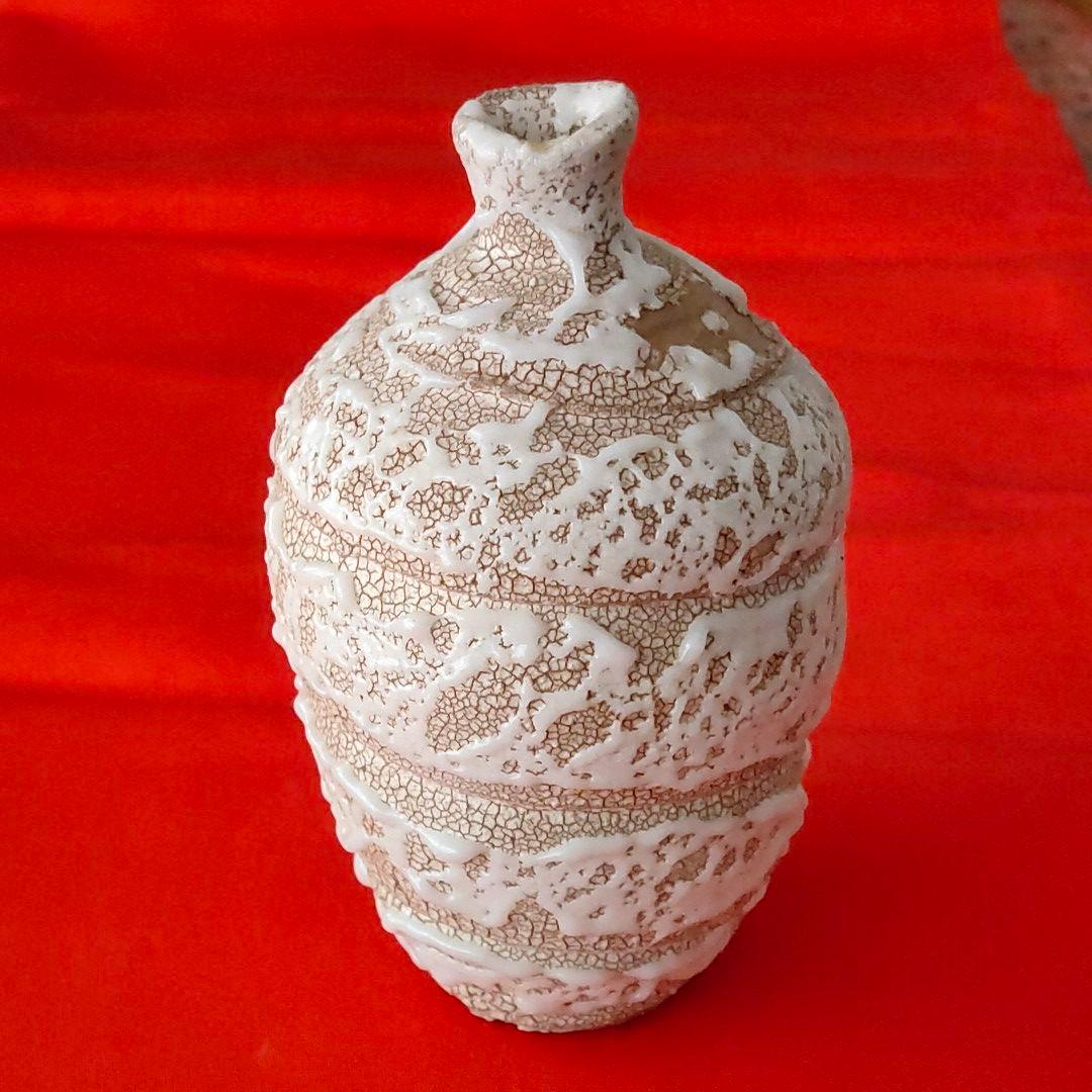 壺　岩月竹光　志野 C