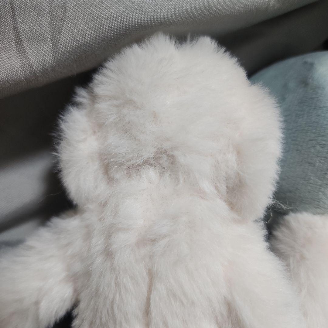 【即完売品】犬記録　3匹セット
