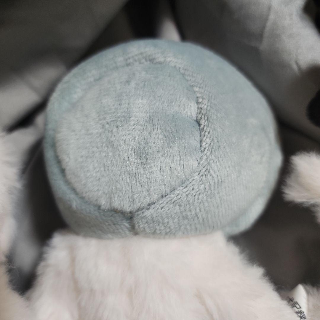 【即完売品】犬記録　3匹セット