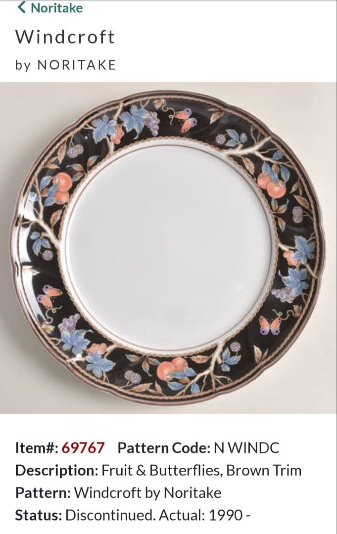 S23 ノリタケ　ストーンウェア　WIND CROFT　フルーツ　メインプレート