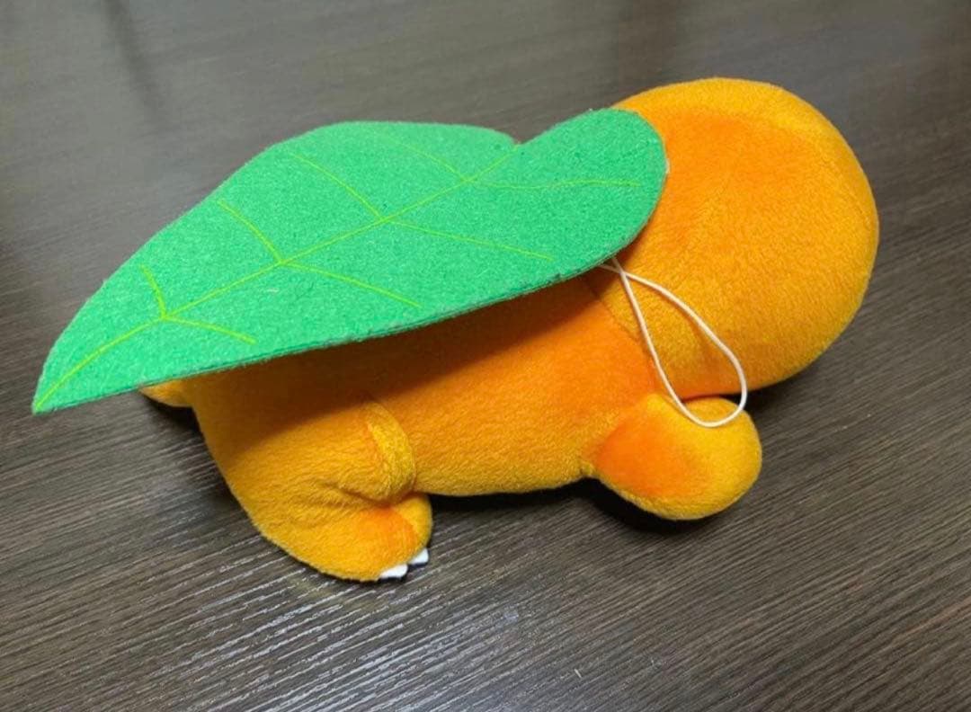 ポケモン　ヒトカゲ