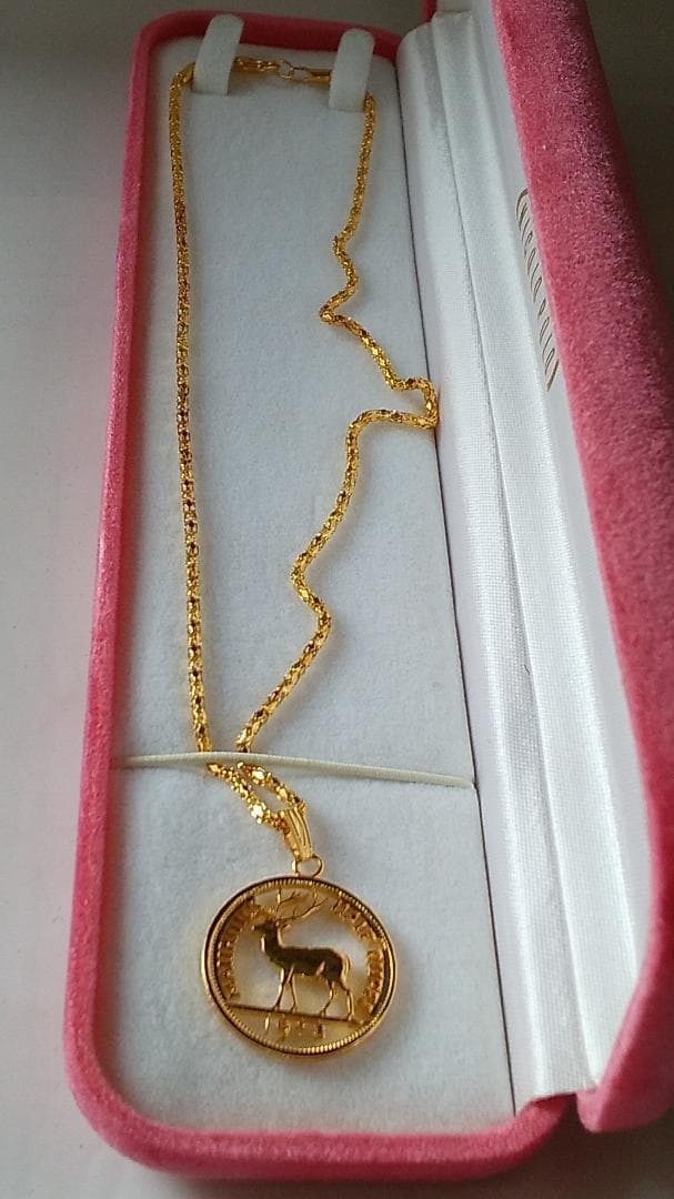 モーリシャス ハーフルピー カットアウト  ネックレス 金鍍金仕上 新品