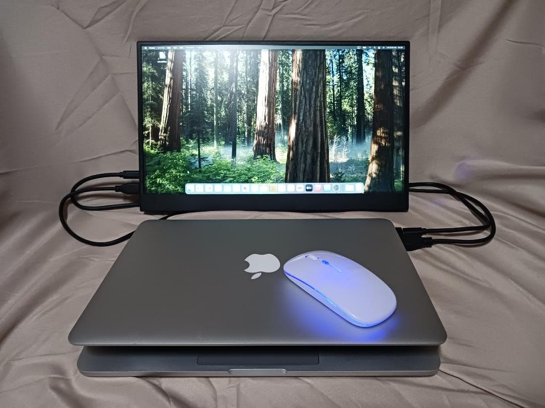 MacBook Pro 13 A2159 訳ありジャンク品＋α　オマケあり