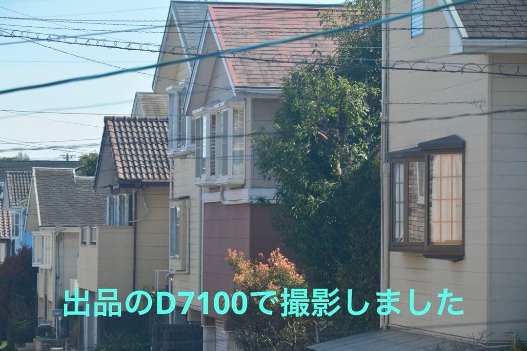 【美品】Nikon D7100【ストラップ、充電器、バッテリー、SDカード付属】