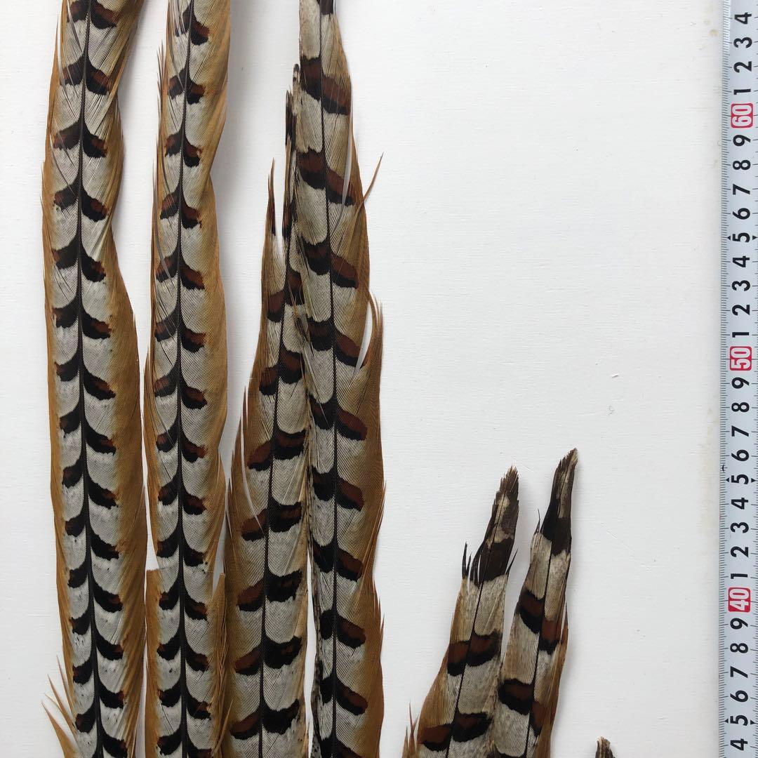 ★ チーズすりおろし器商品★ 羽・羽根25枚★消毒済★