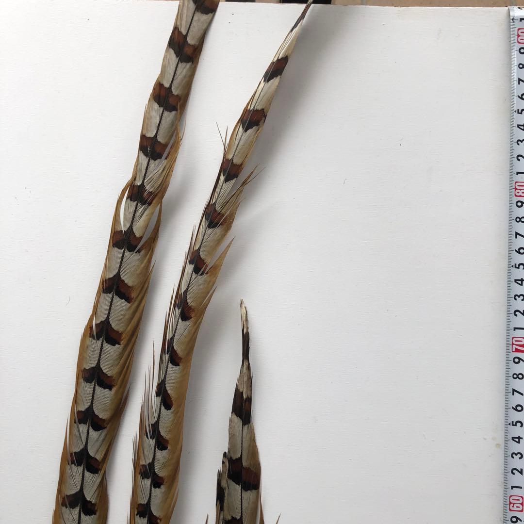 ★ チーズすりおろし器商品★ 羽・羽根25枚★消毒済★