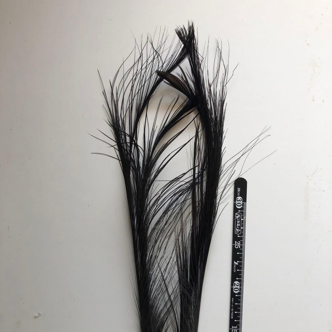 ★ チーズすりおろし器商品★ 羽・羽根25枚★消毒済★