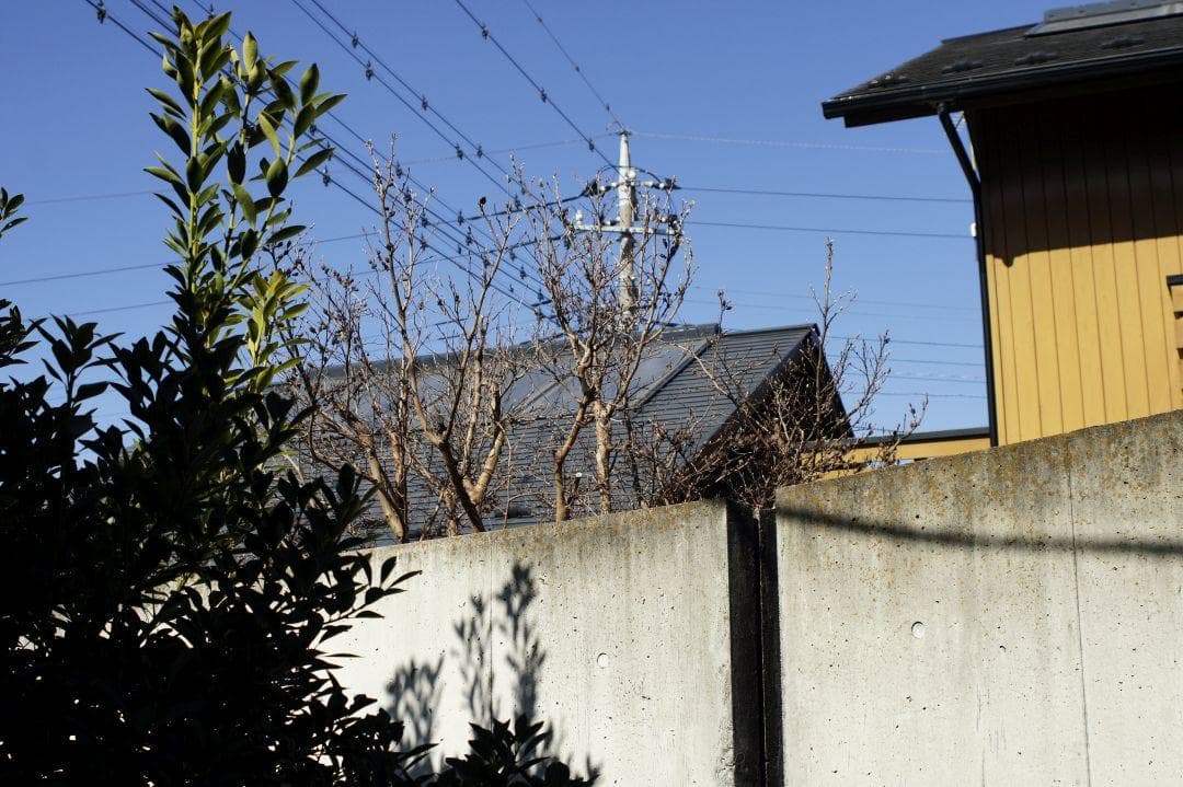 Canon AE-1 Tamron 35-70mm付 中古良品 レンズ試写あり