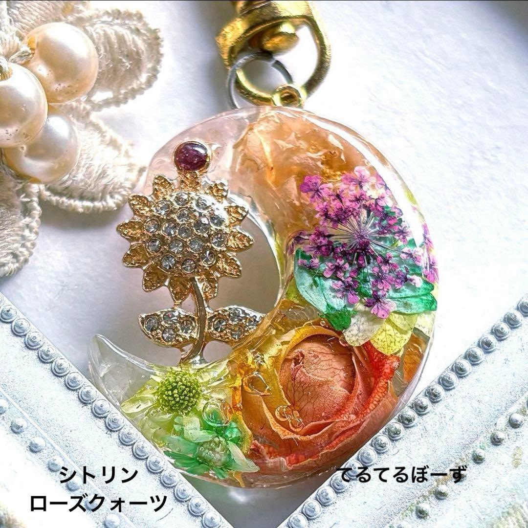 ももちです