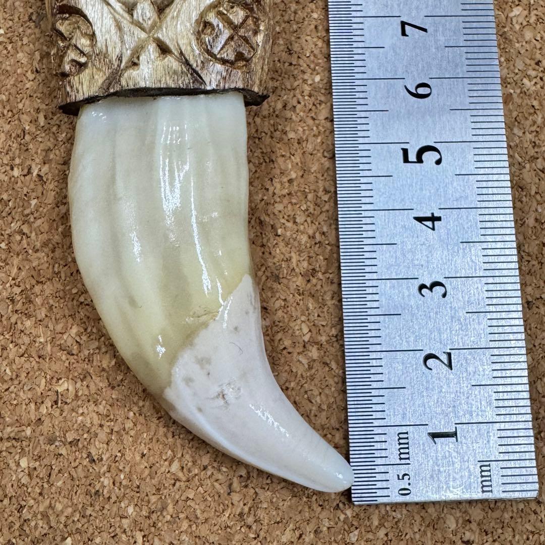 確認専用ページ　　熊爪&熊牙SET