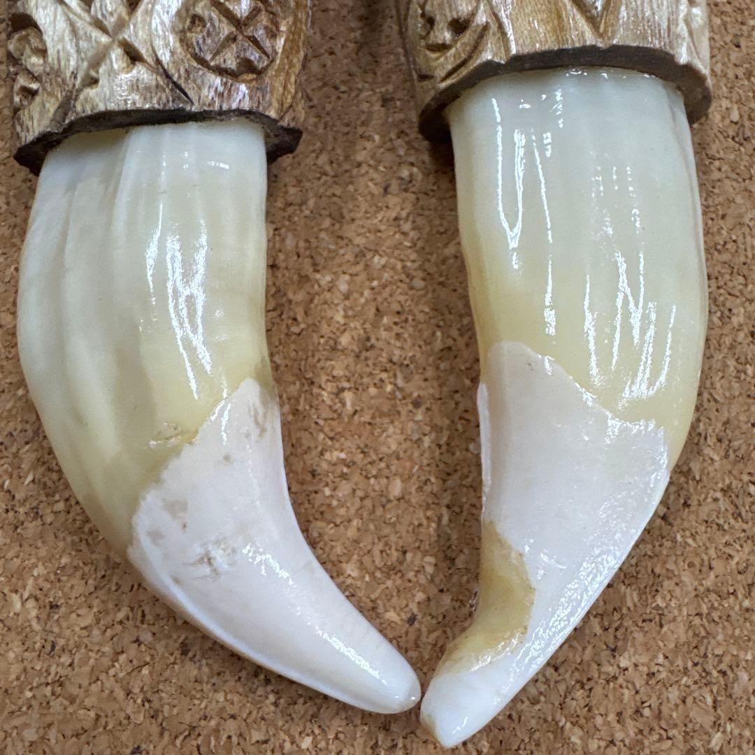 確認専用ページ　　熊爪&熊牙SET