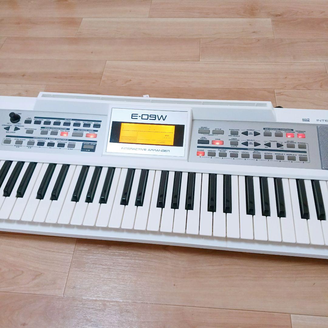 Roland E-09W シンセサイザー キーボード 61鍵 音源内蔵