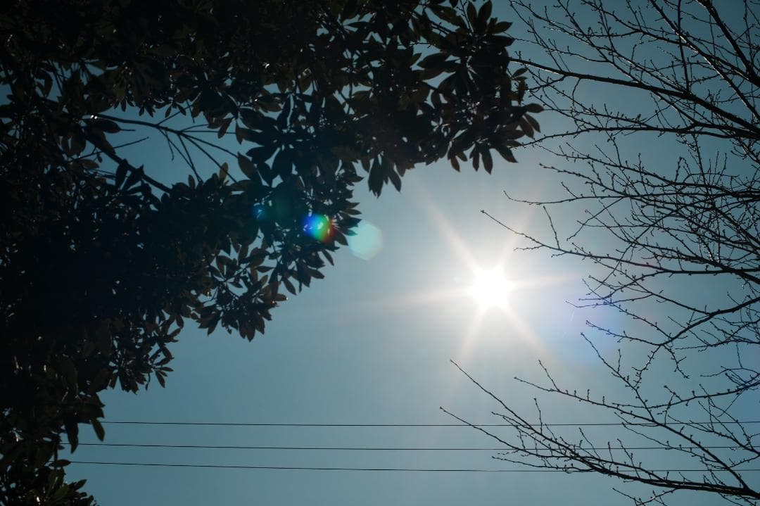 整&テ Carl Zeiss Planar 50mm F1.4 MMJ 980