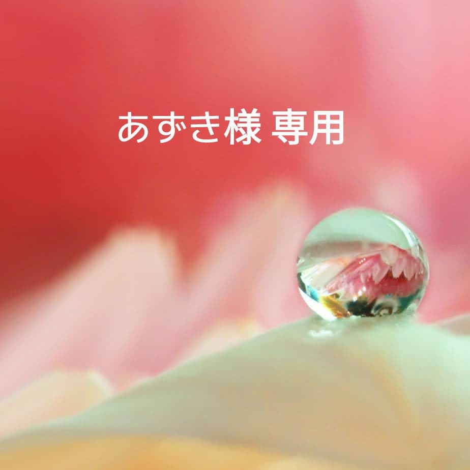 あずき様 リクエスト 4点 まとめ商品