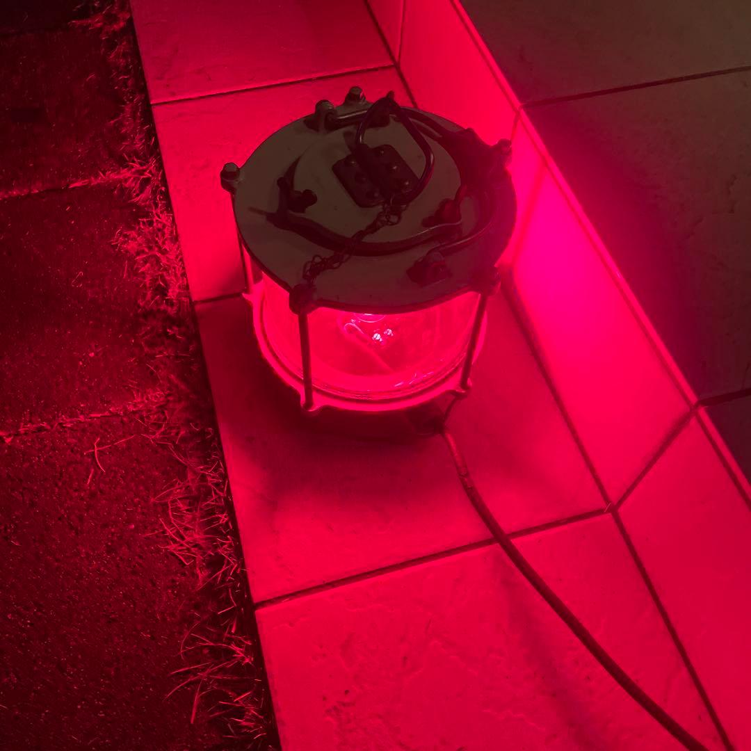 紅灯　船尾燈　照明　株式會社小糸製作所　昭和29年製　アンティークコレクション