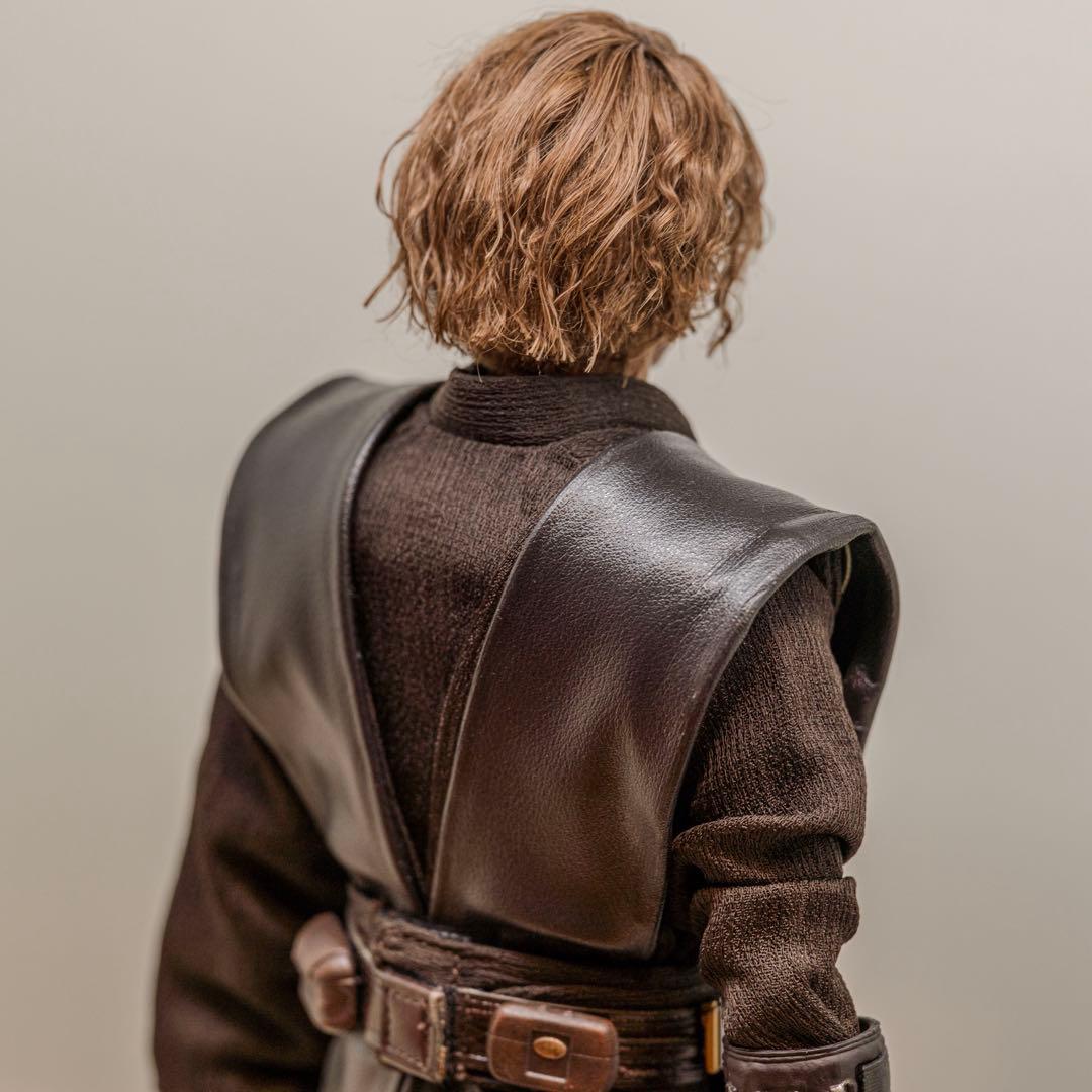 植毛カスタム ホットトイズ アナキンスカイウォーカー スターウォーズ 1/6