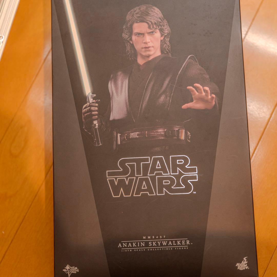 植毛カスタム ホットトイズ アナキンスカイウォーカー スターウォーズ 1/6