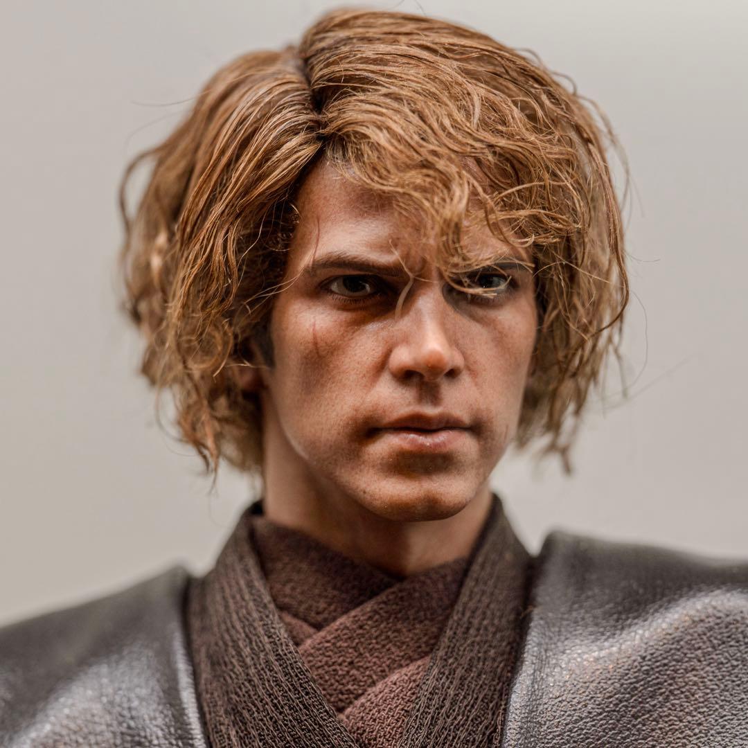 植毛カスタム ホットトイズ アナキンスカイウォーカー スターウォーズ 1/6