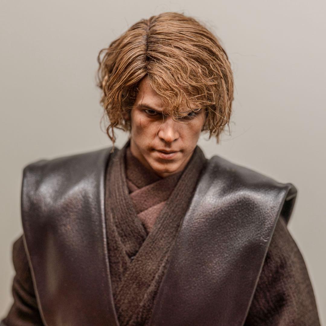植毛カスタム ホットトイズ アナキンスカイウォーカー スターウォーズ 1/6