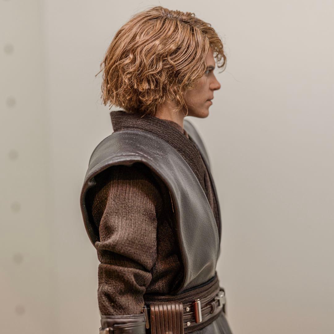 植毛カスタム ホットトイズ アナキンスカイウォーカー スターウォーズ 1/6