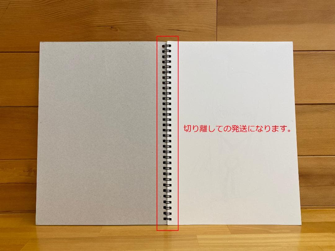 フジシマ　直筆サイン入りイラスト　スケッチブック　/　検：色紙、少女と移動図書館