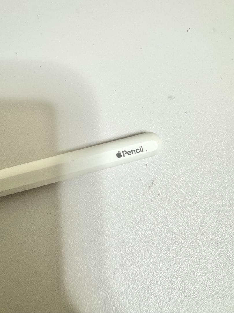 Apple iPadPro 12.9inch 1TB Cellularモデル