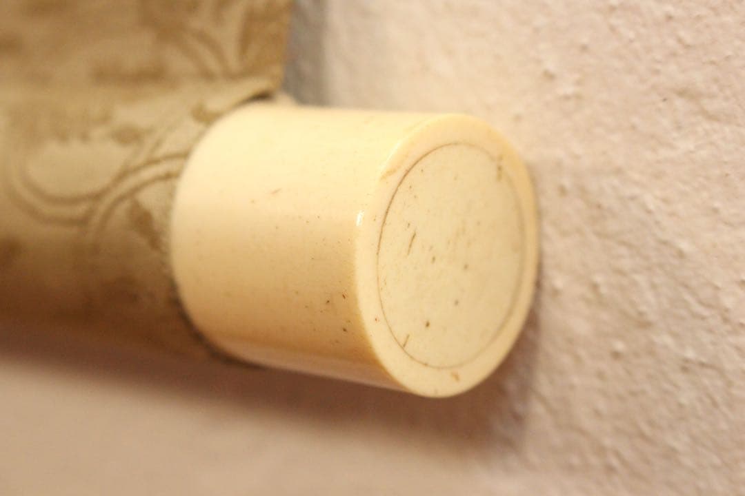 No5896 掛軸　在印　川端玉章　柳蔭兜虫図　絹本　共箱　古美術　送料無料