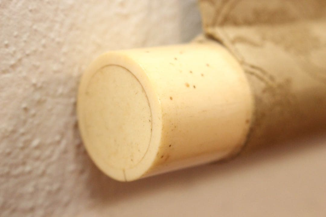 No5896 掛軸　在印　川端玉章　柳蔭兜虫図　絹本　共箱　古美術　送料無料