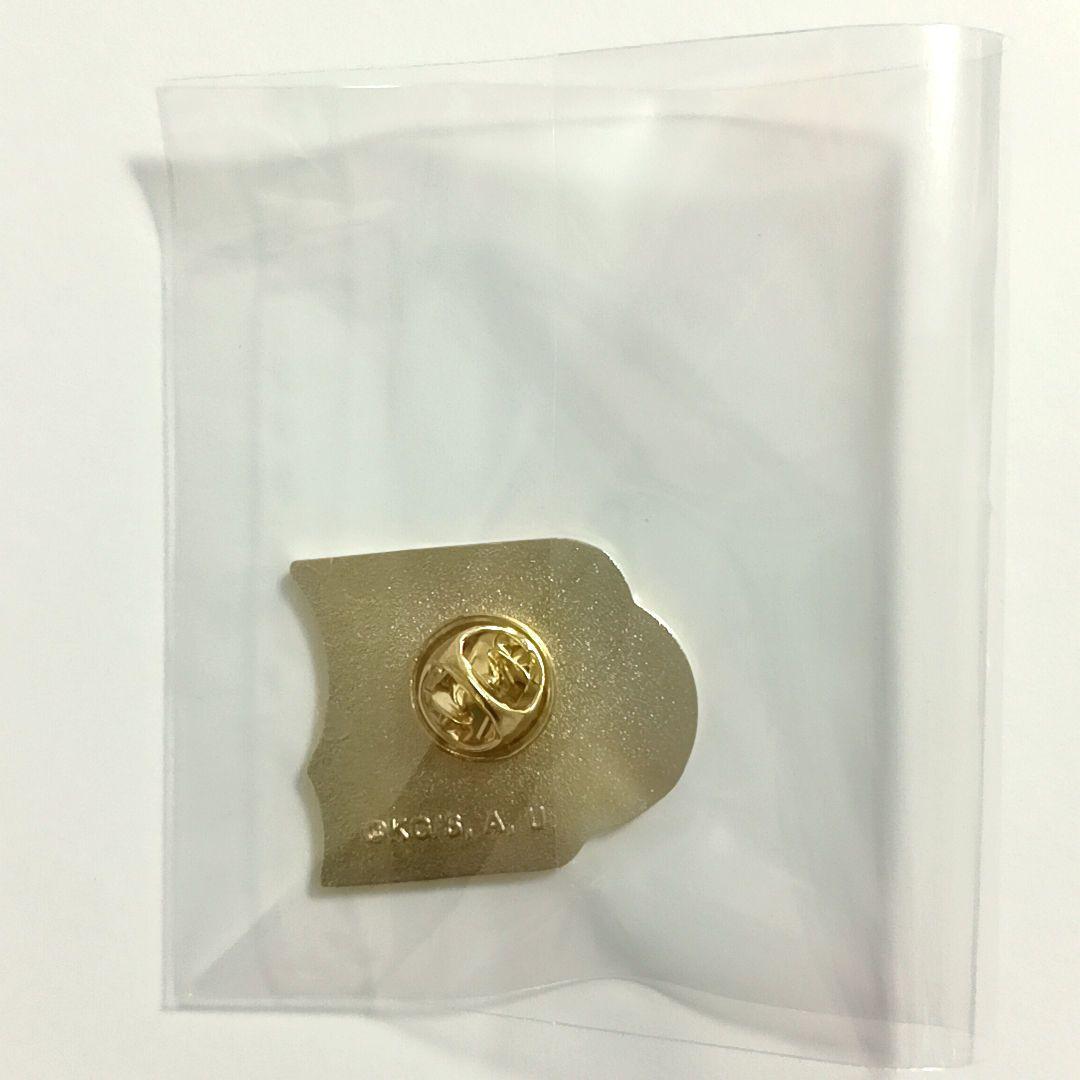 鬼滅の刃　時透無一郎　柱展　コレクションピンズ15